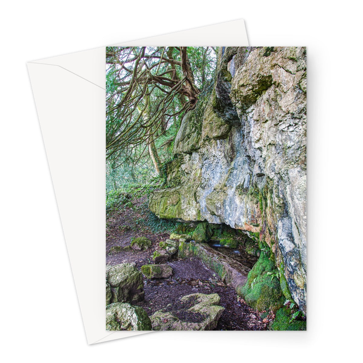 Yew guardian Greeting Card