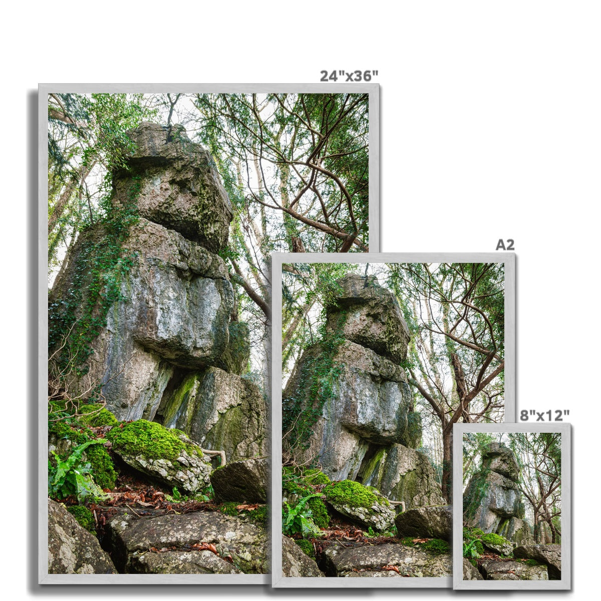 Rock Guardian Antique Framed Print