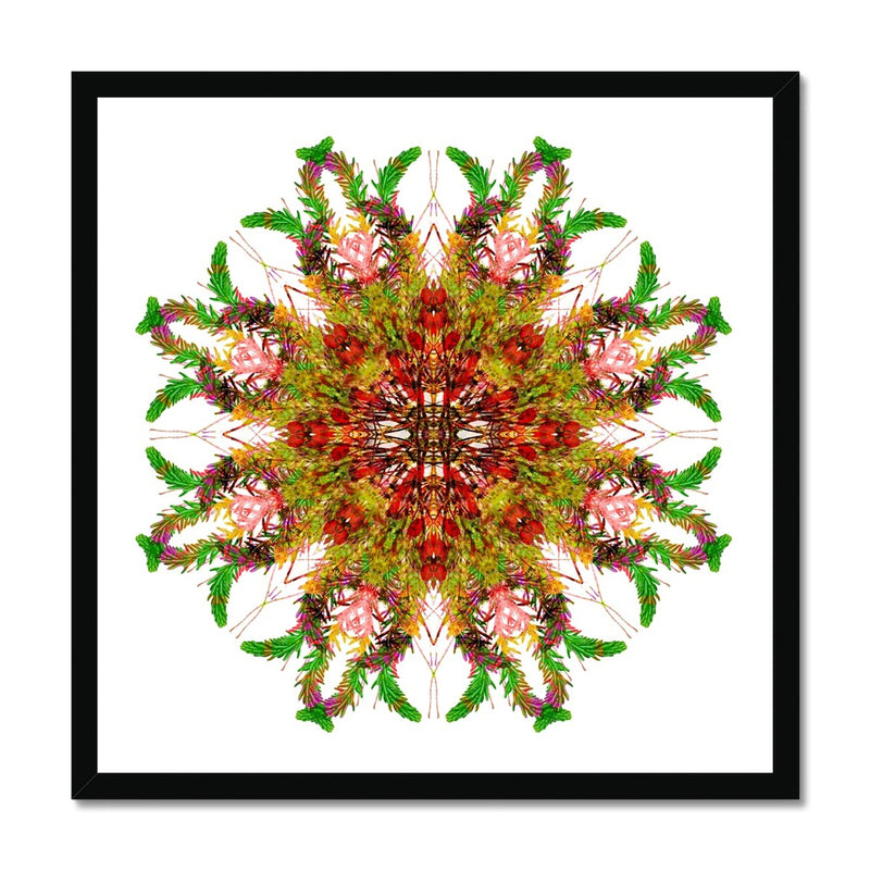 Bounty Mandala Budget Framed Poster
