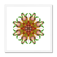 Bounty Mandala Framed & Mounted Print