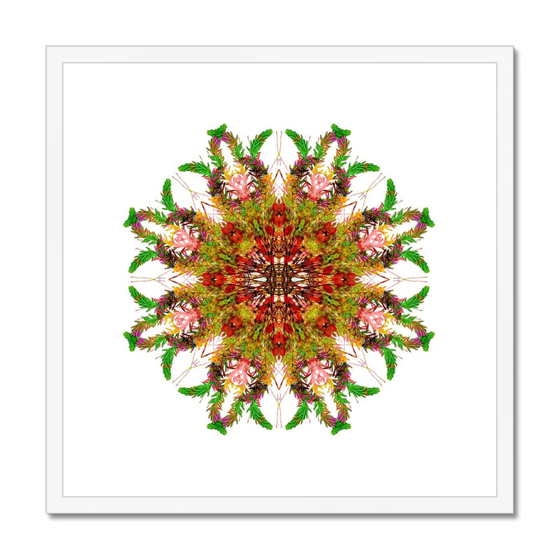 Bounty Mandala Framed & Mounted Print