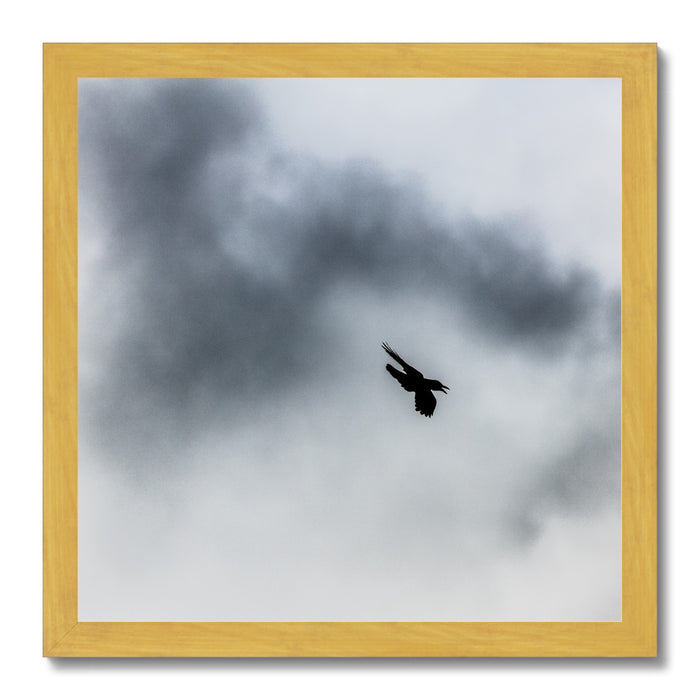 Storm Raven 3 Antique Framed Print