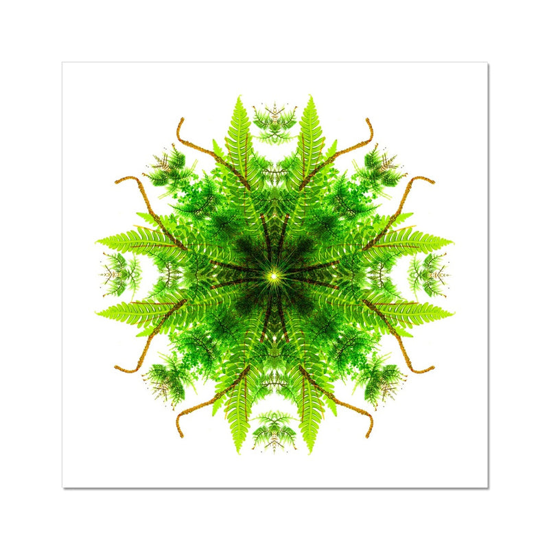 Heart of Nature Wall Art Poster