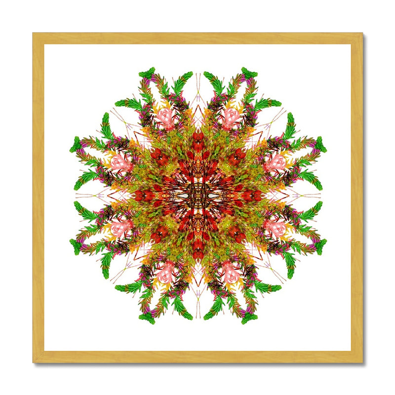 Bounty Mandala Antique Framed Print