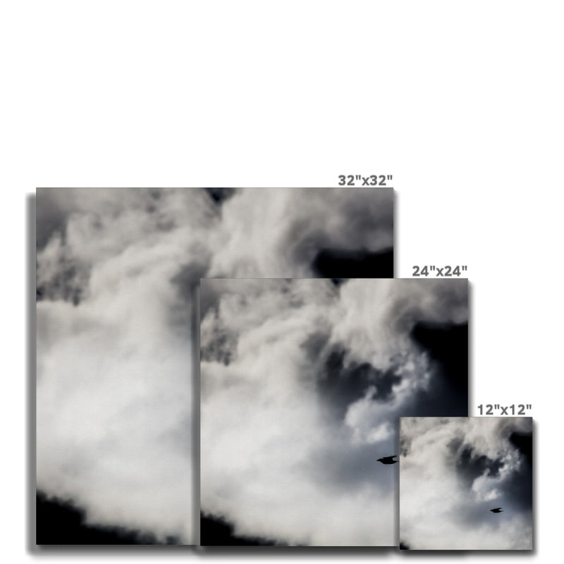 Storm Raven 1 Canvas