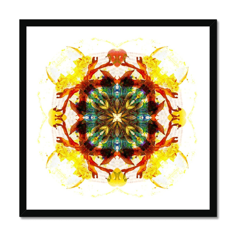 Earth Healing Budget Framed Poster