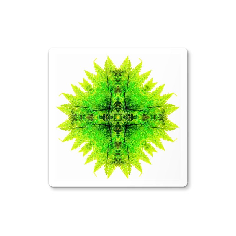 Spirit of Place Coaster