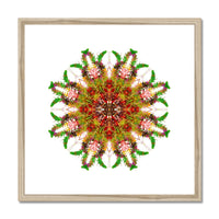 Bounty Mandala Framed & Mounted Print