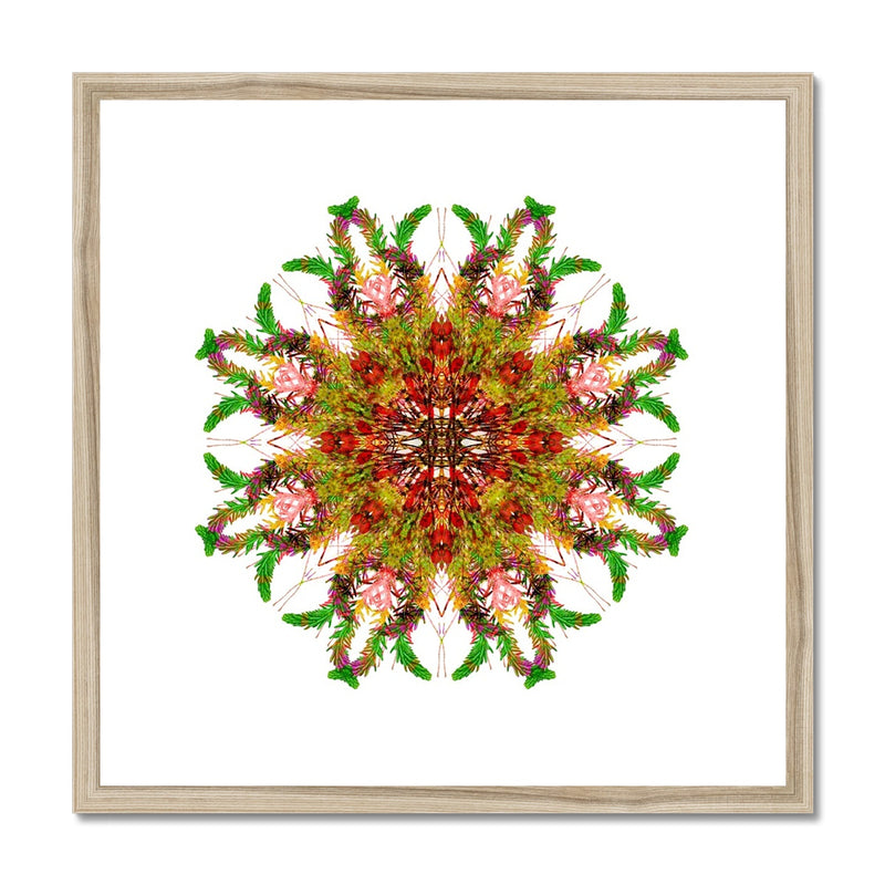Bounty Mandala Framed & Mounted Print