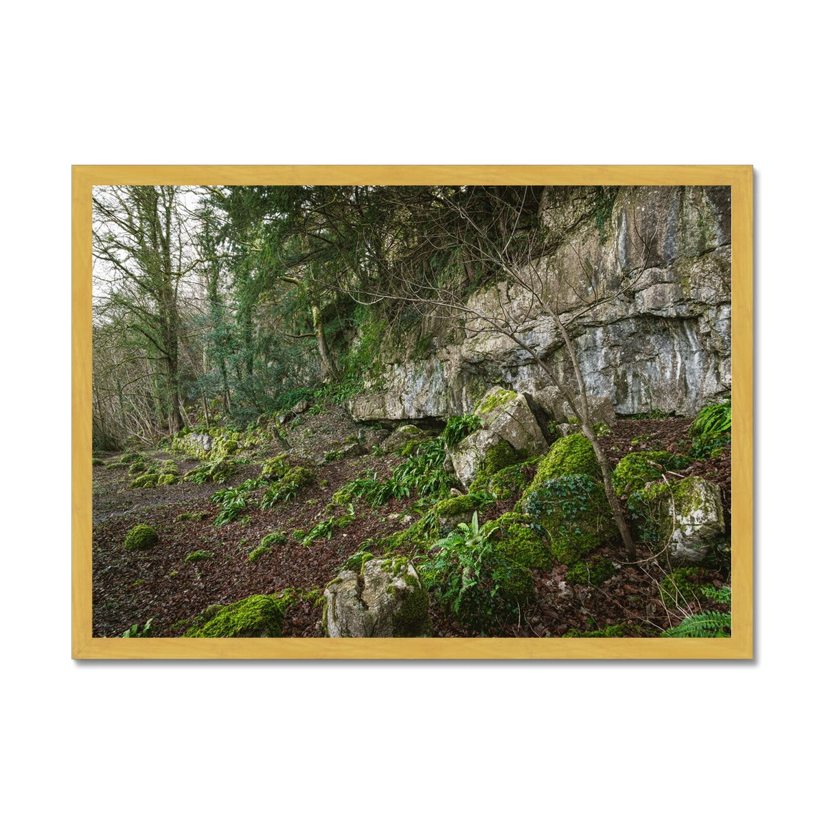 Woodwell Secrets Antique Framed Print
