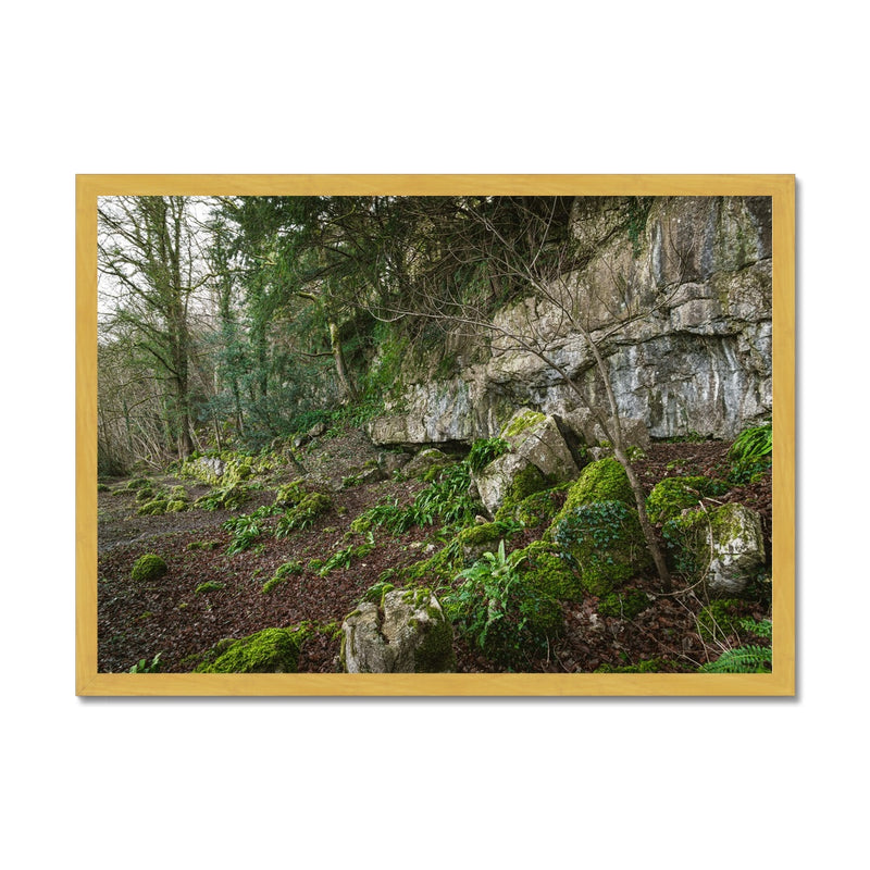 Woodwell Secrets Antique Framed Print