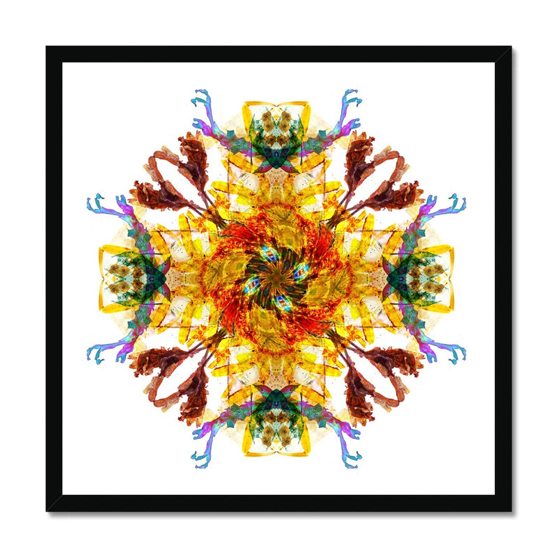 Ancient Wisdom Mandala Budget Framed Poster