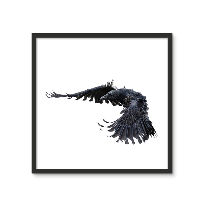 Raven 2 Framed Photo Tile