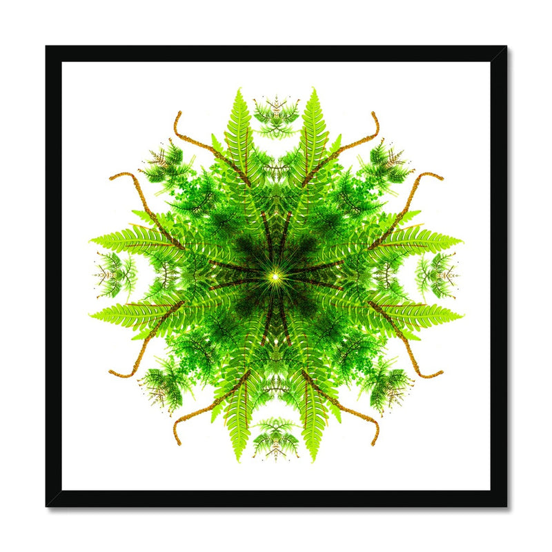 Heart of Nature Framed Print