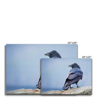 The Raven of Ireland Canvas