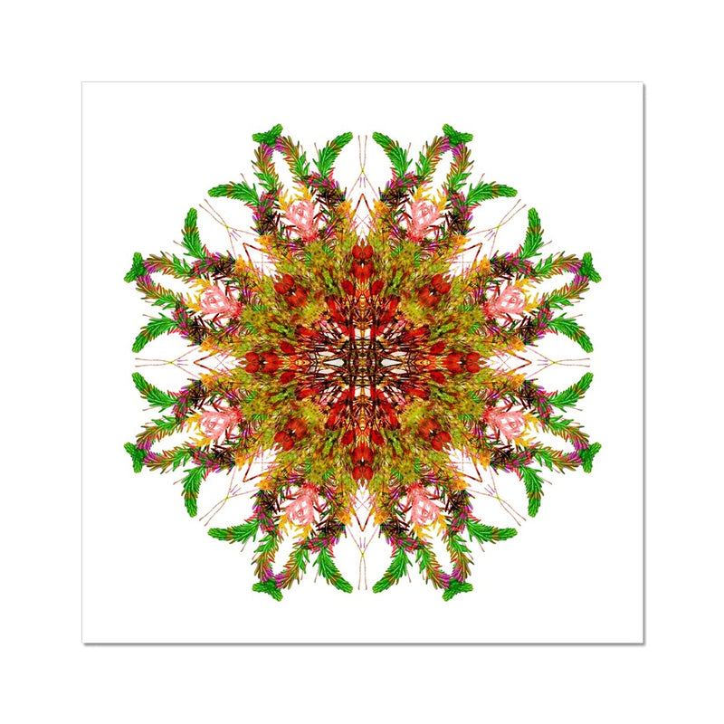 Bounty Mandala Hahnemühle Photo Rag Print