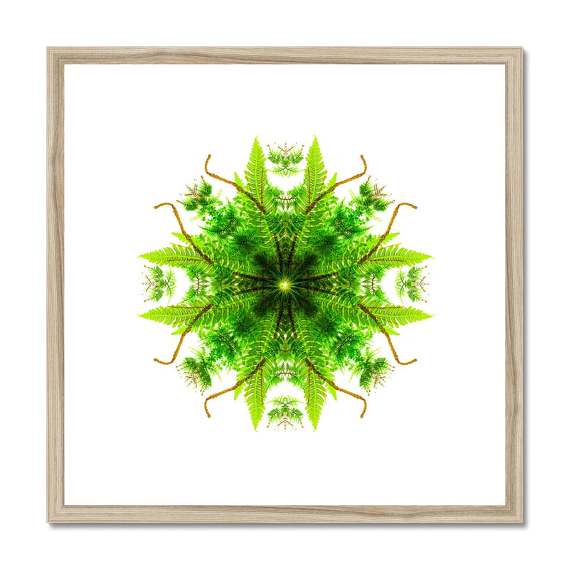 Heart of Nature Framed & Mounted Print