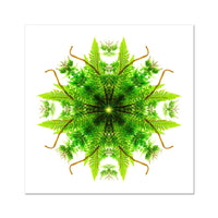 Heart of Nature Fine Art Print
