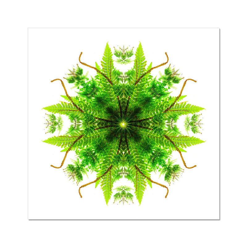 Heart of Nature Fine Art Print