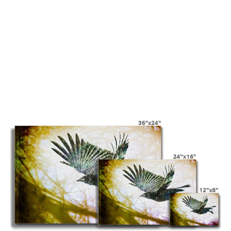 Woodland Crow Canvas