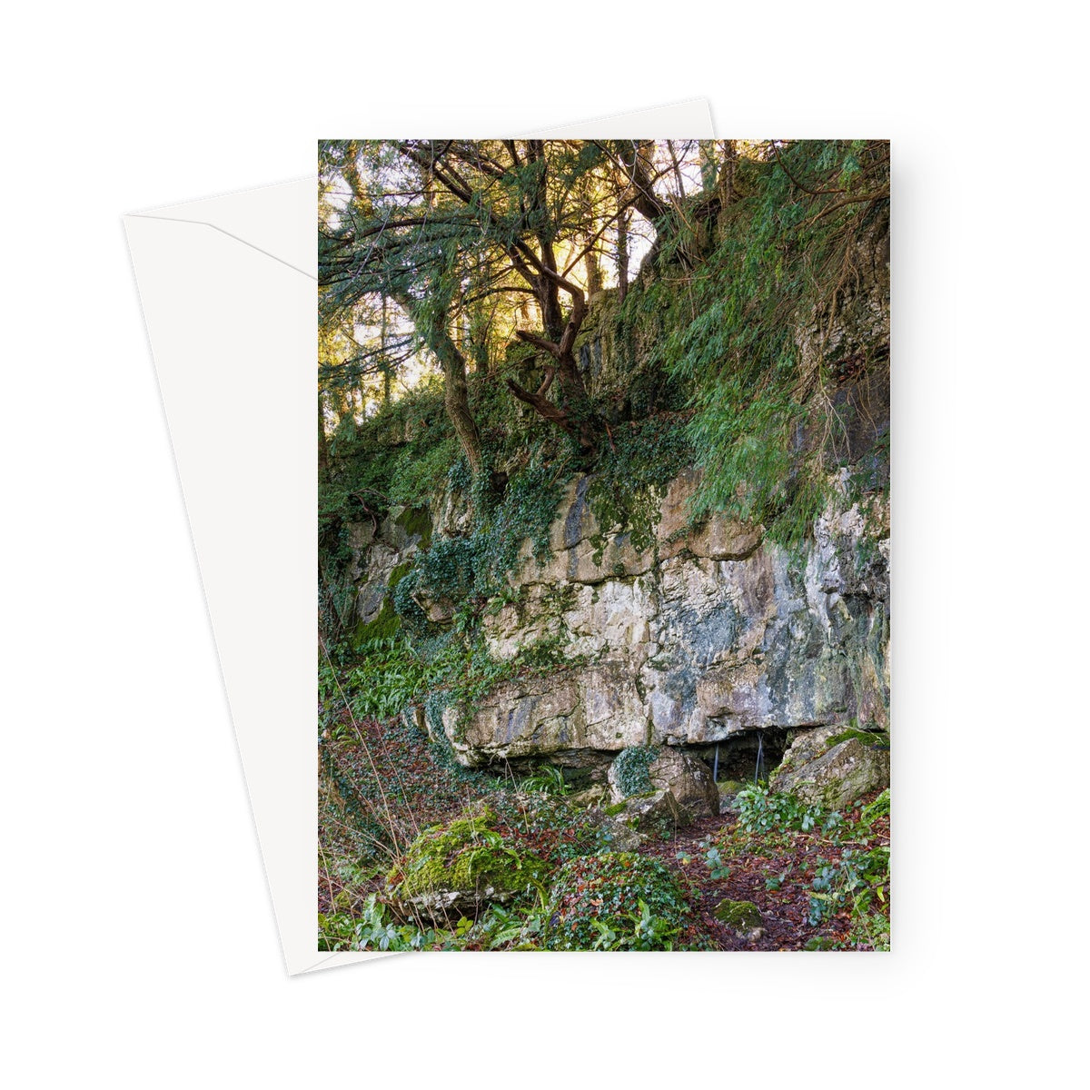 Woodwell Mystery Greeting Card