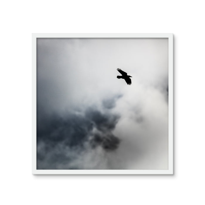 Storm Raven 2 Framed Photo Tile