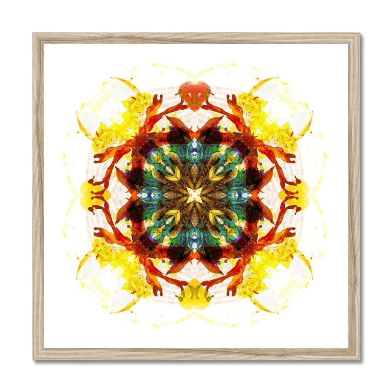 Earth Healing Budget Framed Poster