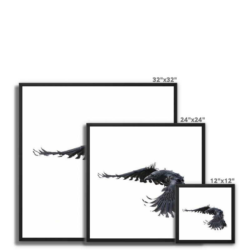 Raven 2 Framed Canvas