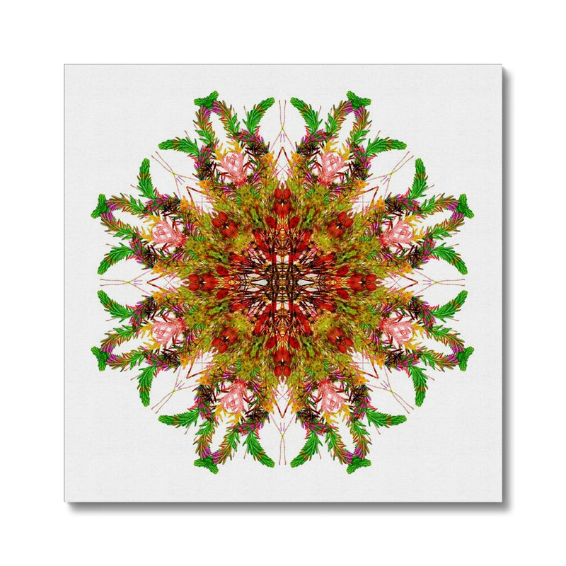 Bounty Mandala Canvas