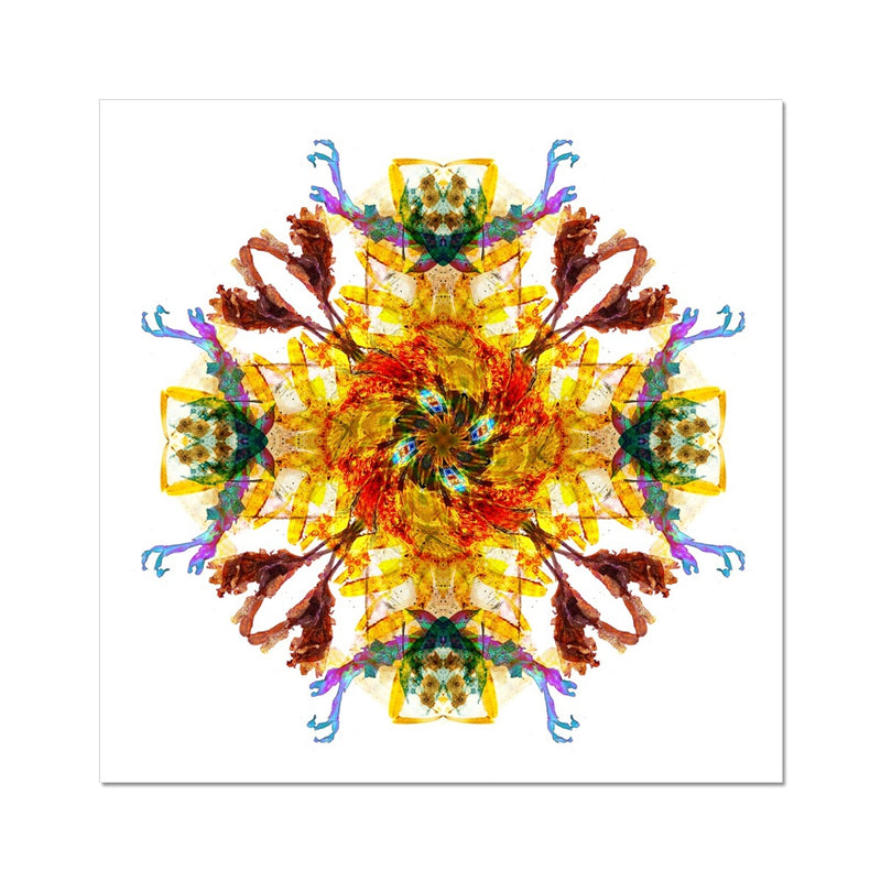 Ancient Wisdom Mandala Fine Art Print