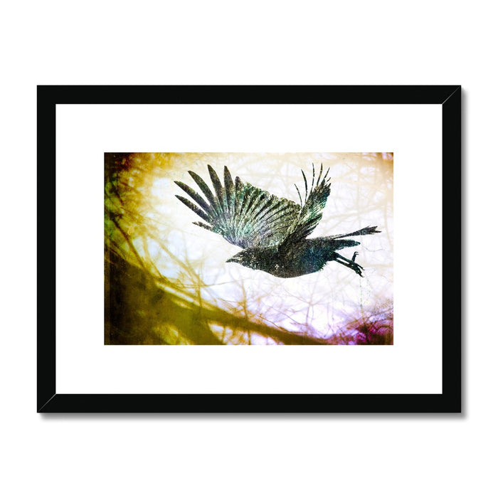 Woodland Crow Framed & Mounted Print
