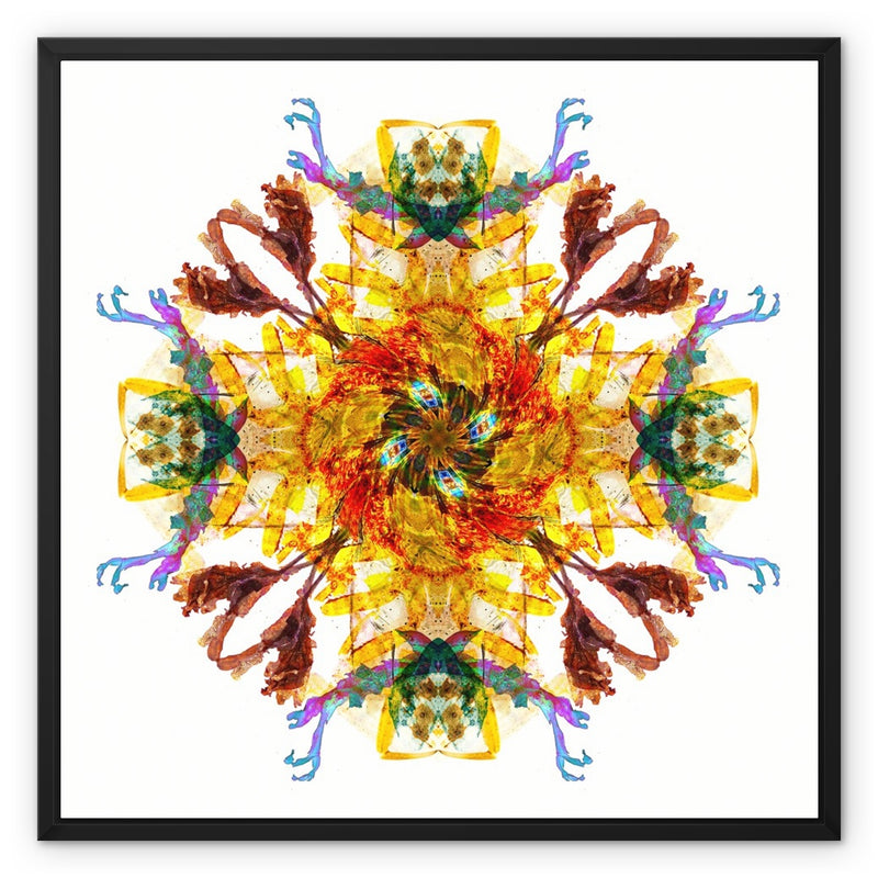 Ancient Wisdom Mandala Framed Canvas