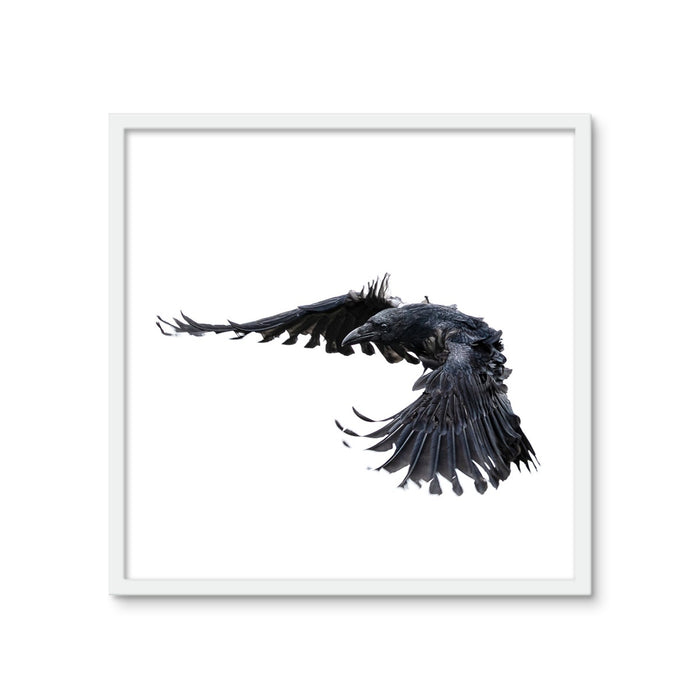 Raven 2 Framed Photo Tile