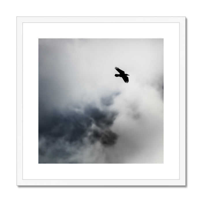 Storm Raven 2 Framed & Mounted Print