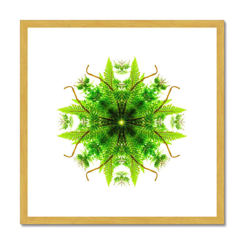 Heart of Nature Antique Framed & Mounted Print