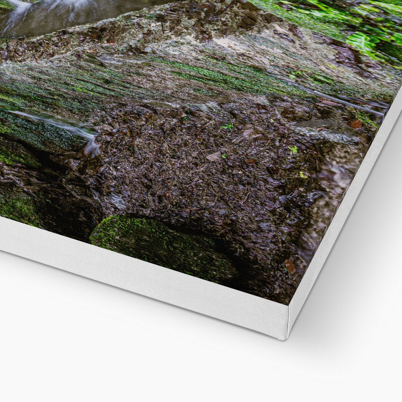 Woodwell basin Canvas