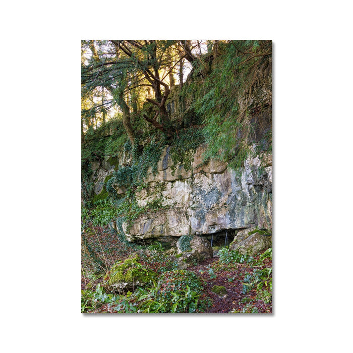 Woodwell Mystery Wall Art Poster