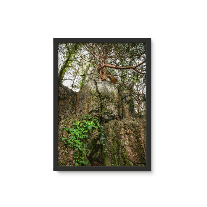 Boulder and Yew Framed Photo Tile