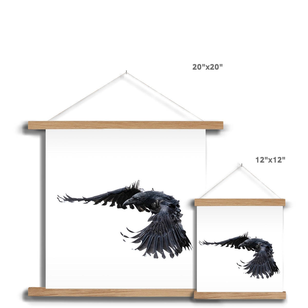 Raven 2 Fine Art Print with Hanger