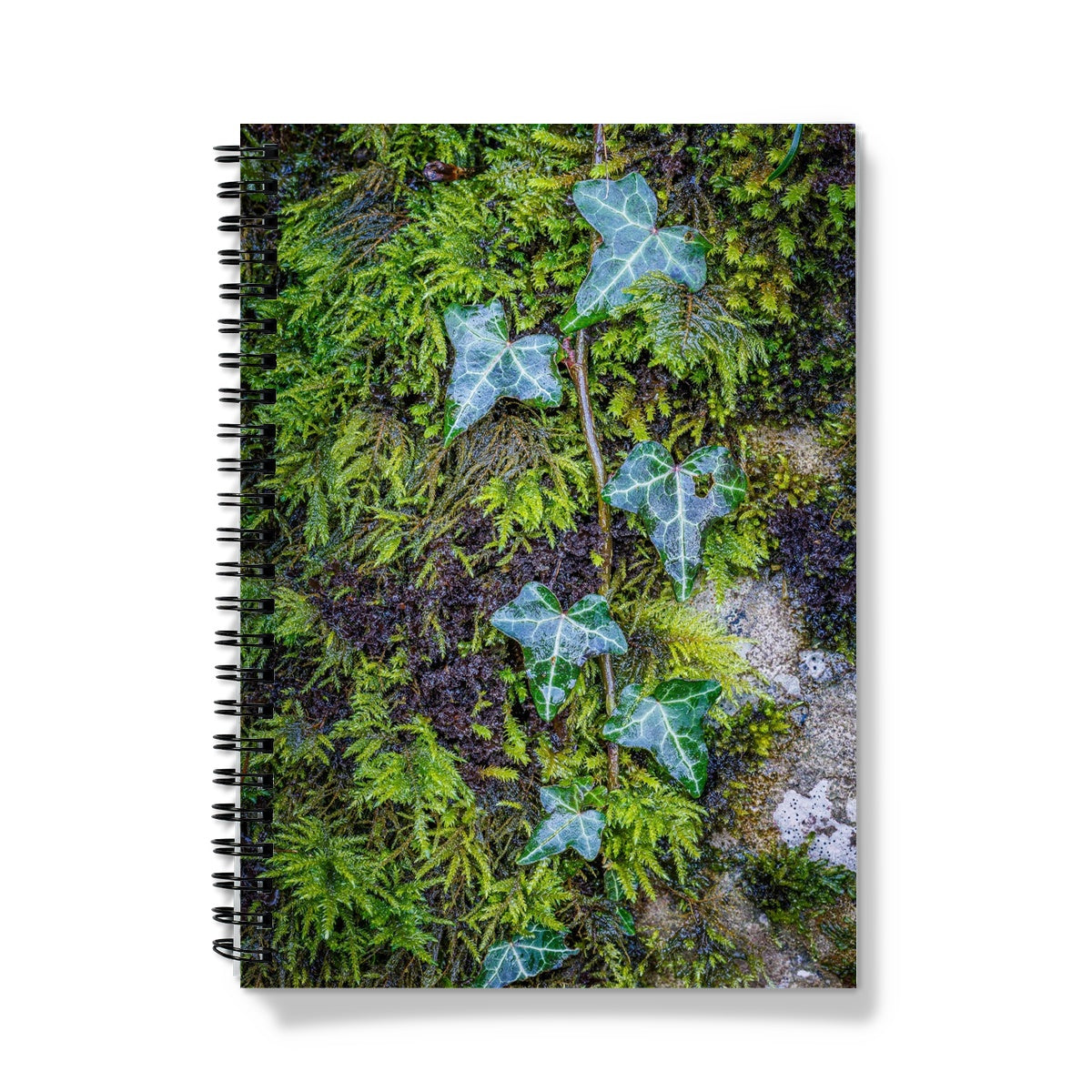 Ivy Clad Notebook