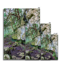 Yew guardian Wall Art Poster