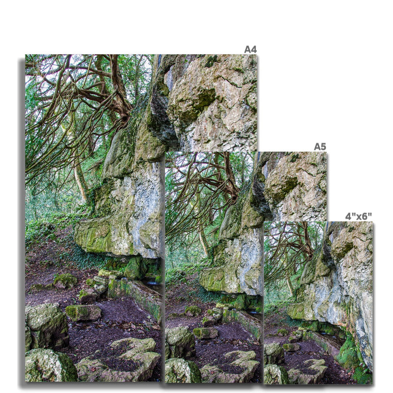Yew guardian Wall Art Poster