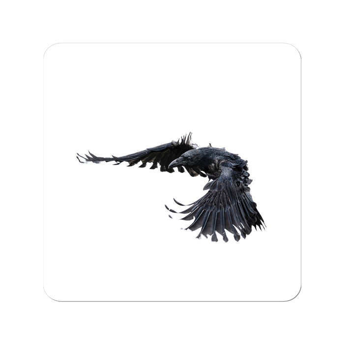 Raven 2 Sticker