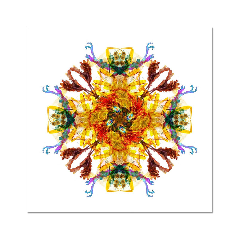 Ancient Wisdom Mandala Wall Art Poster
