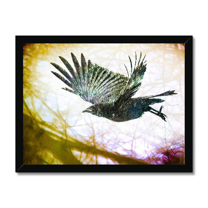 Woodland Crow Framed Print