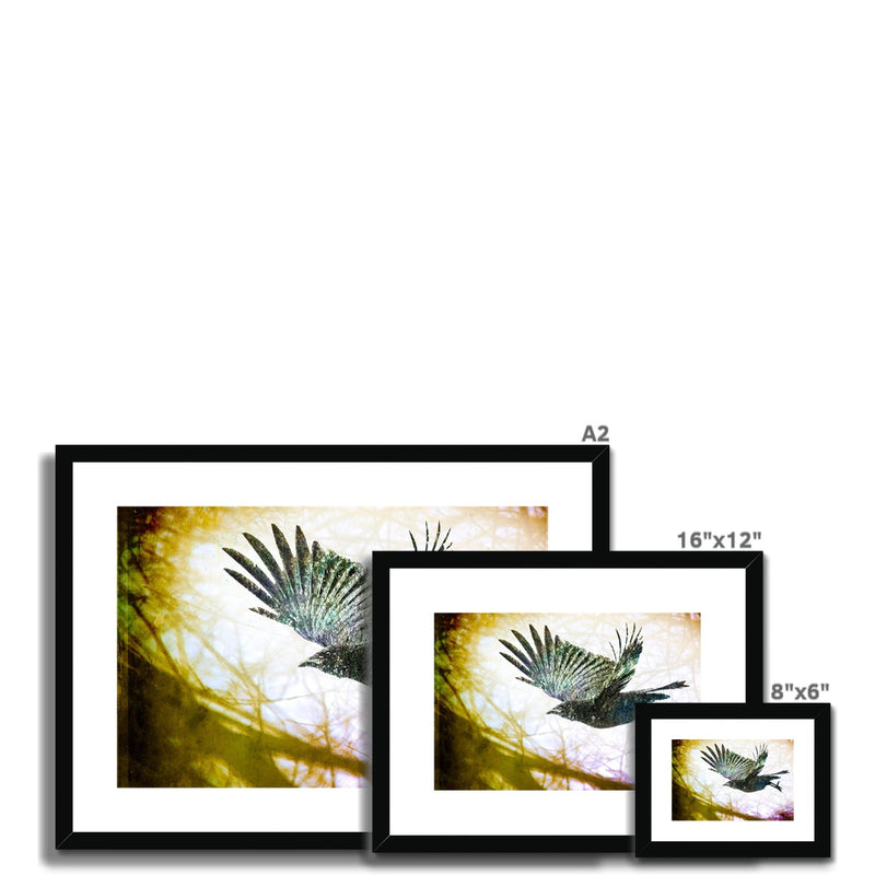 Woodland Crow Framed & Mounted Print