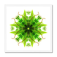 Heart of Nature Budget Framed Poster