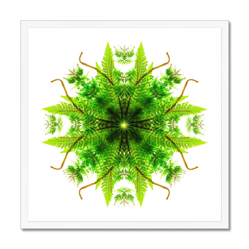 Heart of Nature Budget Framed Poster