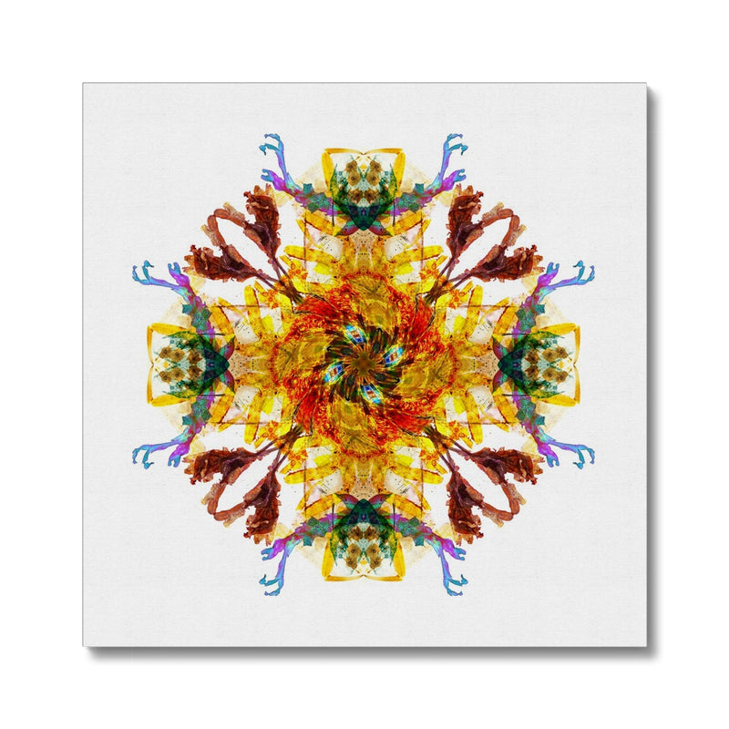 Ancient Wisdom Mandala Canvas