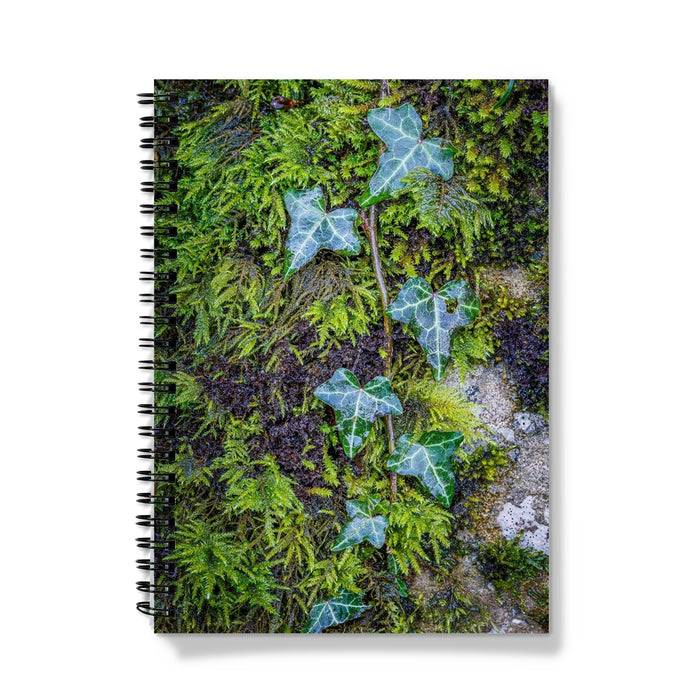 Ivy Clad Notebook